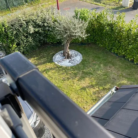 Des Mesanges * Bosc-le-Hard